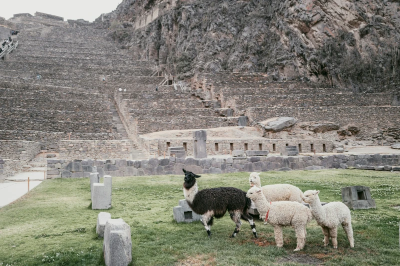 Ollantaytambo