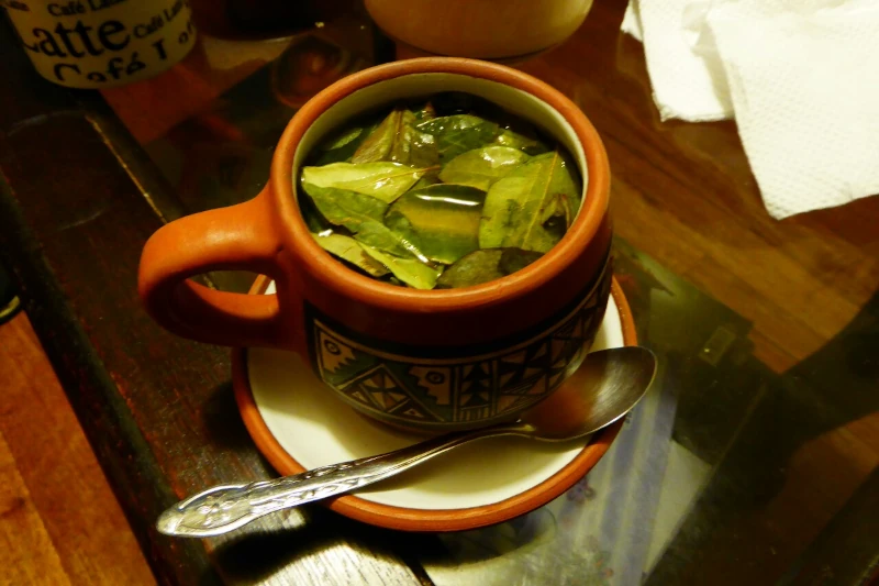 coca tea
