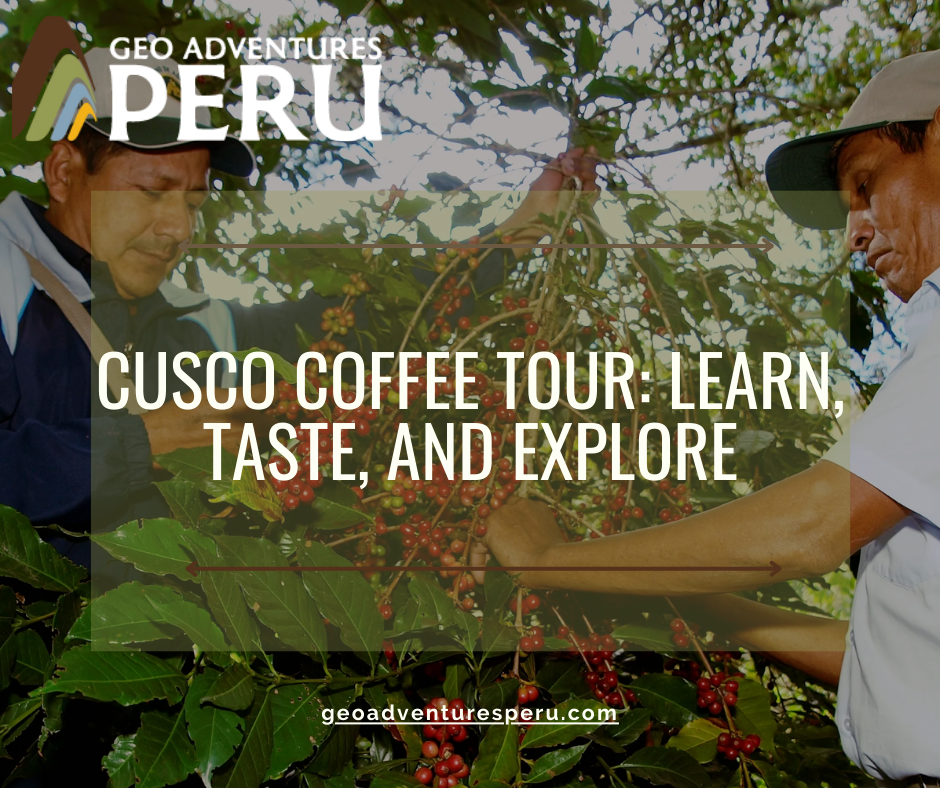 Cusco Coffee Tour